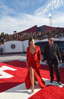 Demi Lovato feet photo thumbnail