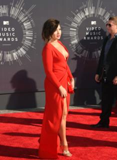 Demi Lovato feet photo thumbnail