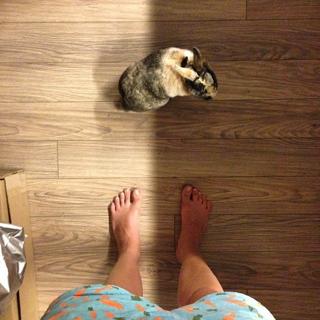 Marta Wierzbicka feet photo thumbnail