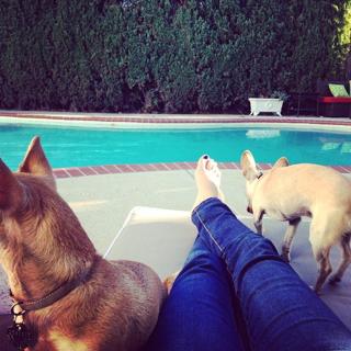Angela Kinsey feet photo thumbnail