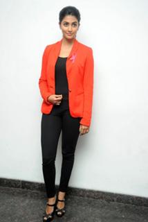 Pooja Hegde feet photo thumbnail