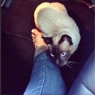 Kelly Key feet photo thumbnail