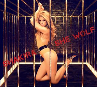 Shakira feet photo thumbnail