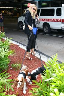 Julianne Hough feet photo thumbnail