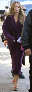 Sofía Vergara feet photo thumbnail