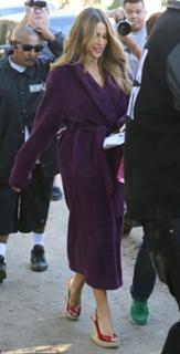 Sofía Vergara feet photo thumbnail