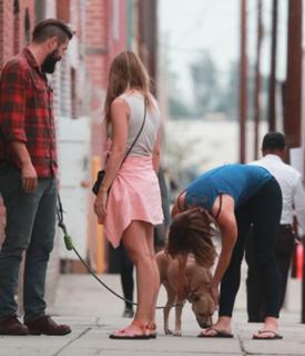 Katharine McPhee feet photo thumbnail