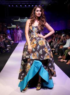 Ileana D'Cruz feet photo thumbnail
