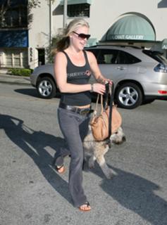 Ali Larter feet photo thumbnail