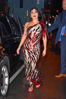Lady Gaga feet photo thumbnail