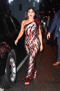 Lady Gaga feet photo thumbnail