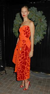 Karolina Kurkova feet photo thumbnail
