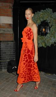 Karolina Kurkova feet photo thumbnail