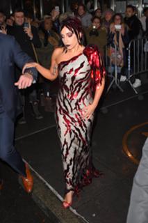 Lady Gaga feet photo thumbnail