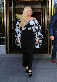 Lady Gaga feet photo thumbnail