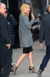 Gwyneth Paltrow feet photo thumbnail