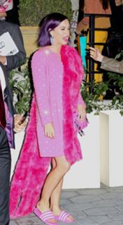 Katy Perry feet photo thumbnail