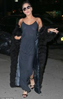 Lady Gaga feet photo thumbnail