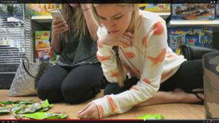 Justine Ezarik feet photo thumbnail