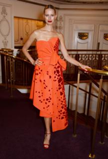 Karolina Kurkova feet photo thumbnail