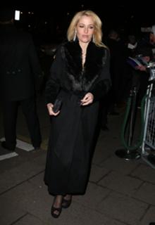 Gillian Anderson feet photo thumbnail