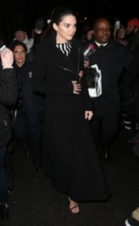 Kendall Jenner feet photo thumbnail