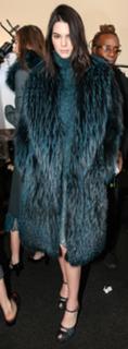 Kendall Jenner feet photo thumbnail