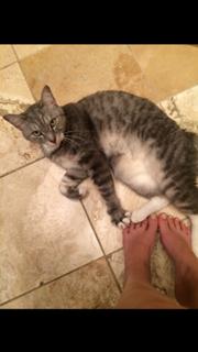 Katie Carmona feet photo 1