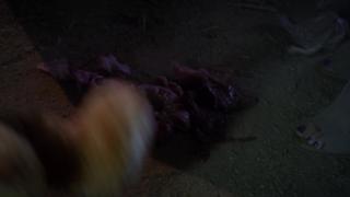 Ashley Benson feet photo thumbnail