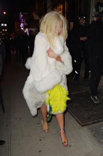 Lady Gaga feet photo thumbnail
