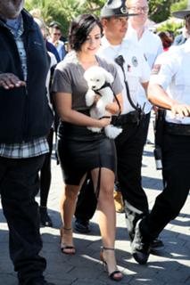 Demi Lovato feet photo thumbnail