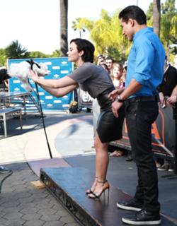 Demi Lovato feet photo thumbnail