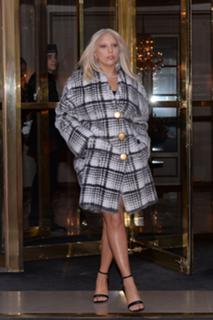Lady Gaga feet photo thumbnail