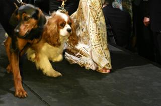 Lindsay Czarniak feet photo 3