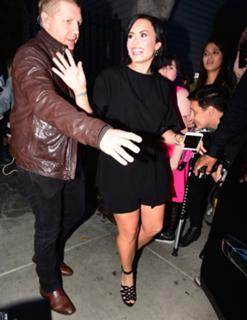 Demi Lovato feet photo thumbnail