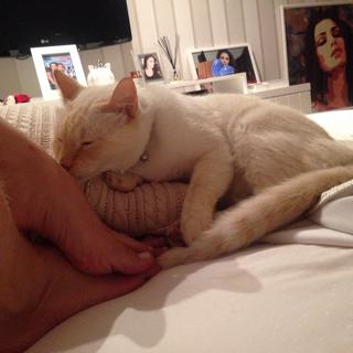 Franciely Freduzeski feet photo thumbnail