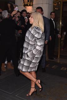 Lady Gaga feet photo thumbnail