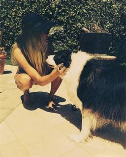 Josie Marie Canseco feet photo thumbnail