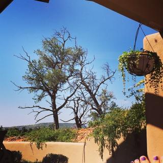 Katie Pavlich feet photo 2