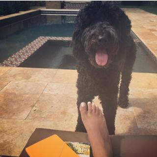 Ayesha Curry feet photo 1