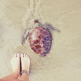 Isis Valverde feet photo thumbnail