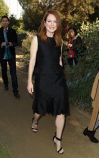 Julianne Moore feet photo thumbnail