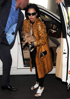 Lady Gaga feet photo thumbnail