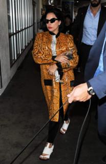 Lady Gaga feet photo thumbnail