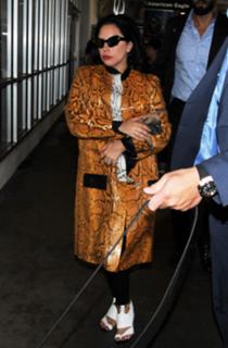 Lady Gaga feet photo thumbnail
