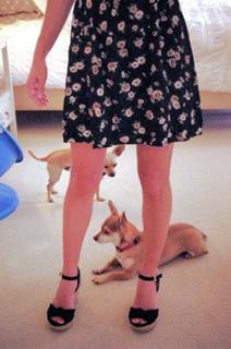 Angela Kinsey feet photo thumbnail