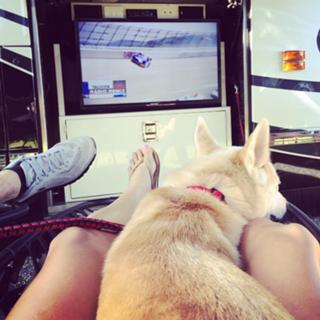 Danica Patrick feet photo thumbnail