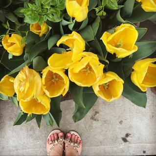 Tara Lipinski feet photo thumbnail