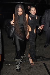 Miley Cyrus feet photo thumbnail