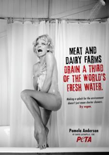 Pamela Anderson feet photo thumbnail